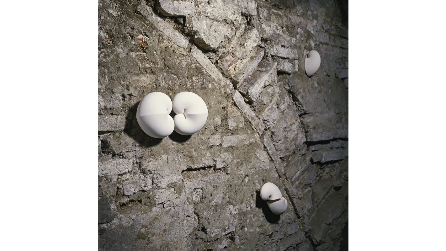 Hjerteformede skulpturer / Heart-shaped Sculptures 2001 Størrelse (lengde/bredde) / Size (length/width): ca 10 - 15 cm (photo: Atle Johnsen)