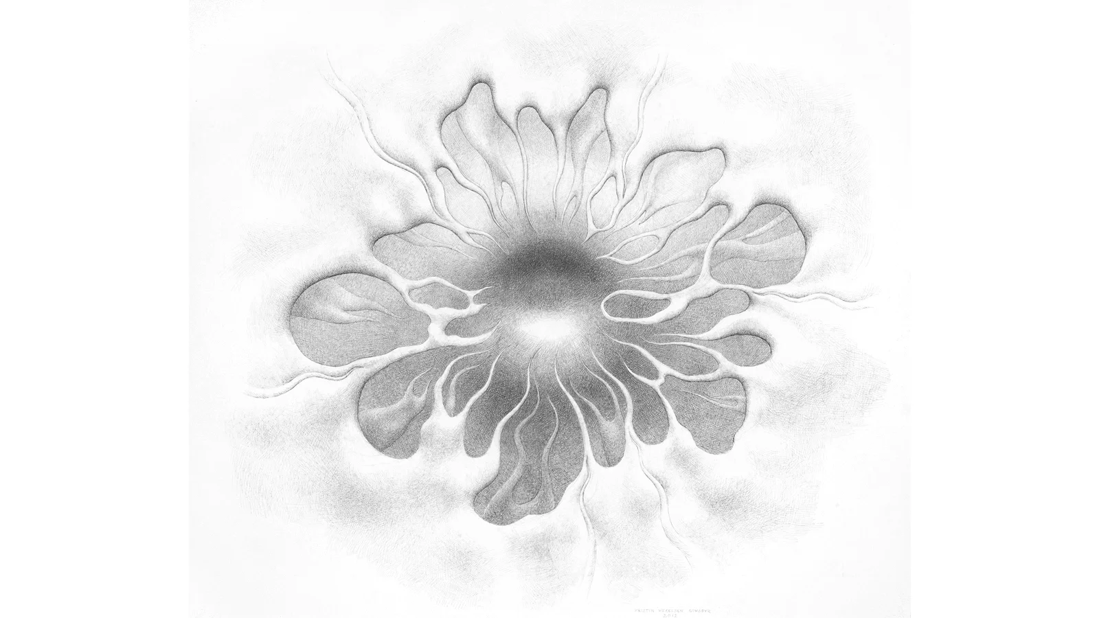 Rom / Space, blyant på papir, størrelse h: 102 cm x b: 116 cm / pencil on paper, size h: 102 cm xb: 116 cm (photo: Atle Johnsen)