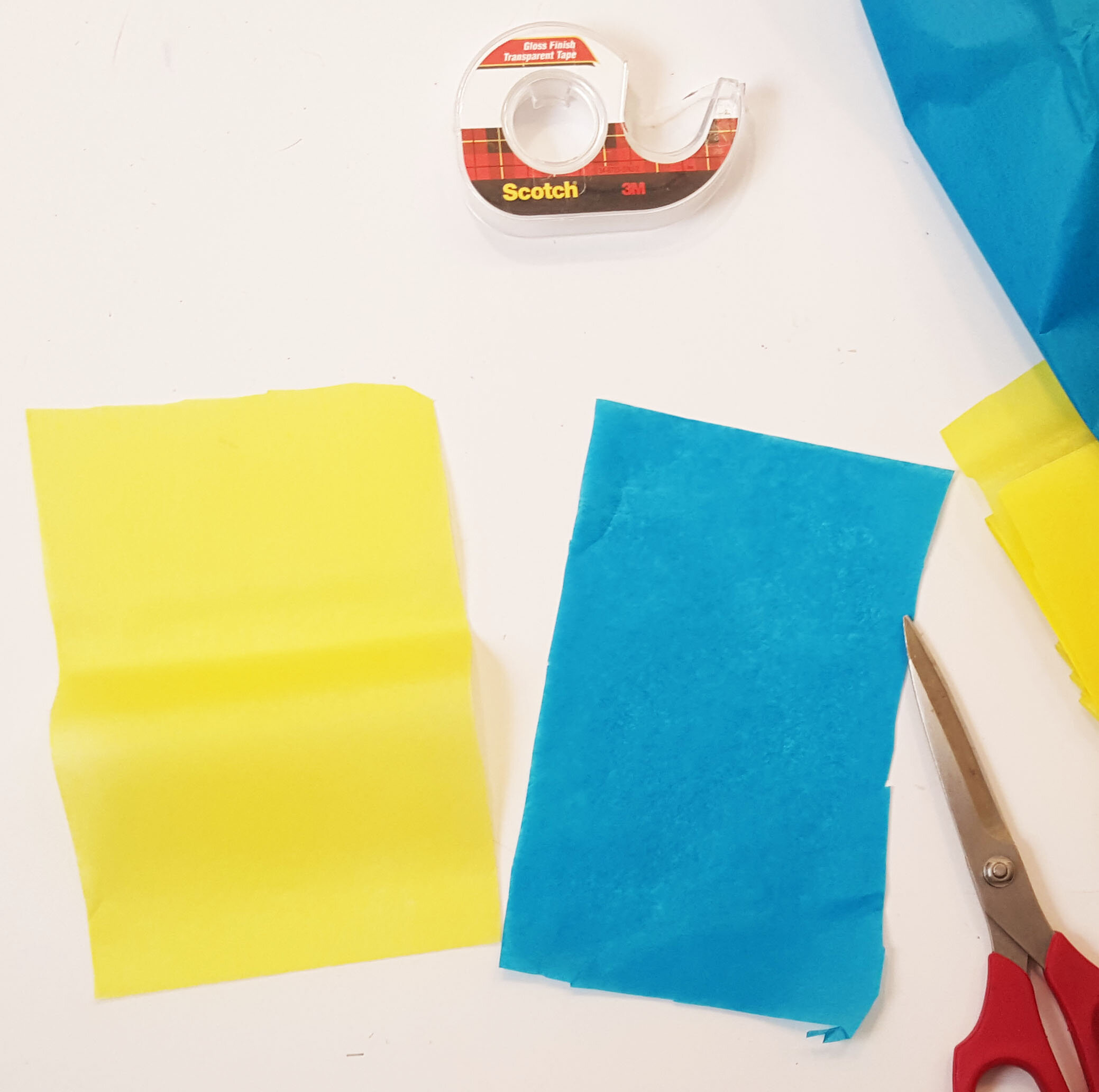 two colors of tissue paper.jpg