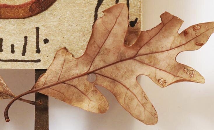 oak leaf.jpg