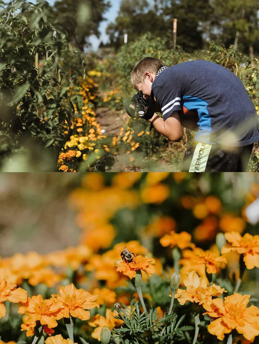 The image on top is one I took of him taking an image... and the one on the bottom is the photograph he took at that exact moment of a bee!! :) <<insert proud momma here!!>>