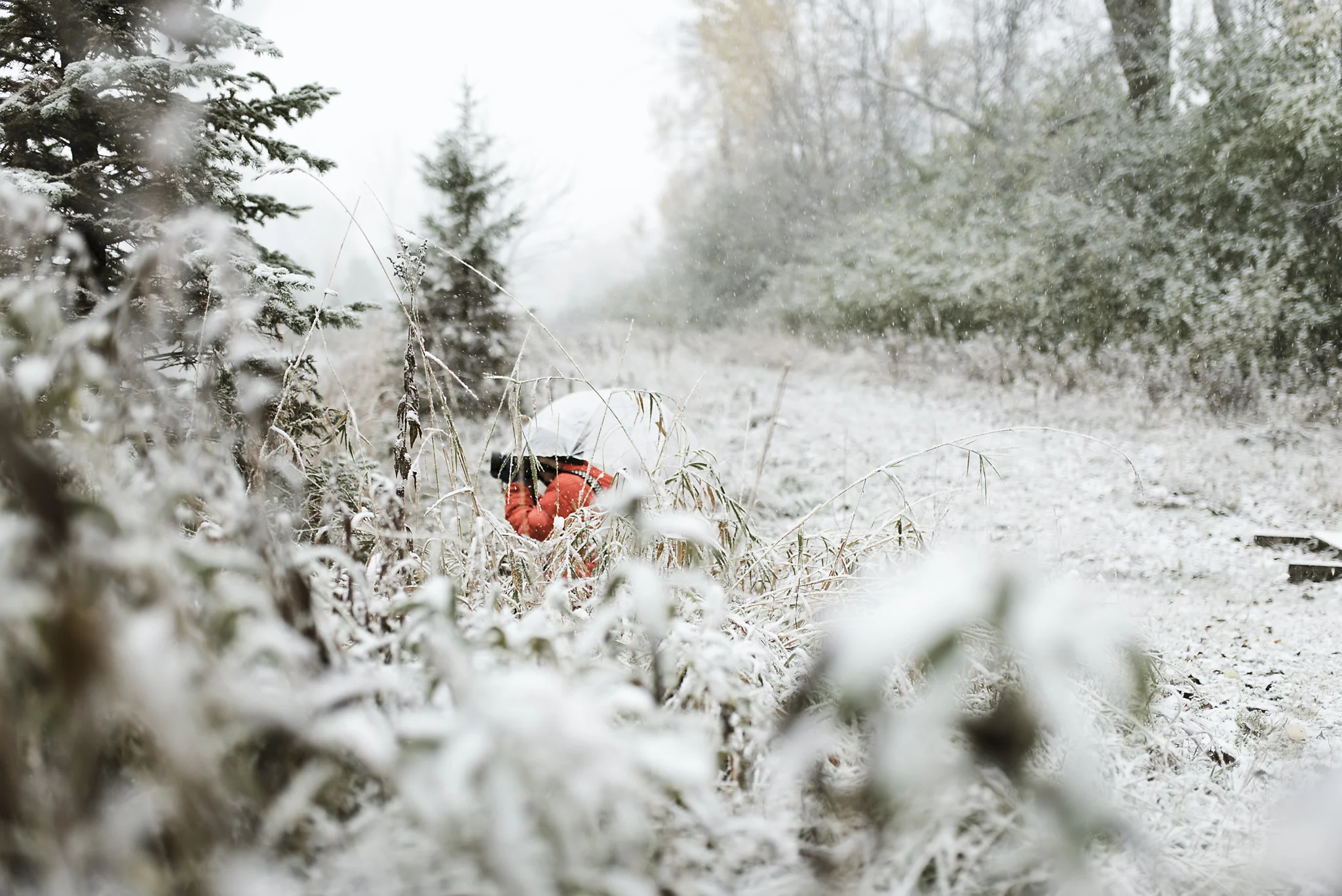 Photos in the snow | Shannon Kathleen photography