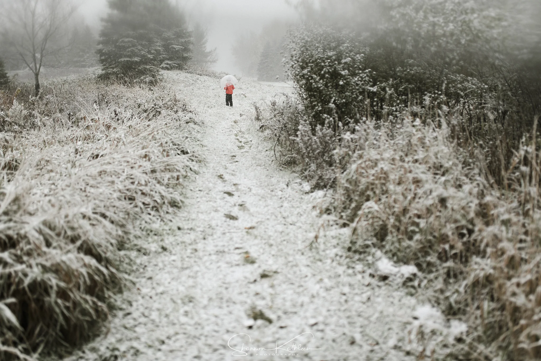 Photos in the snow | Shannon Kathleen photography