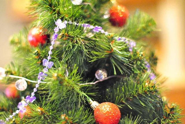 13 Tips to Keep Your Christmas Tree Fresh