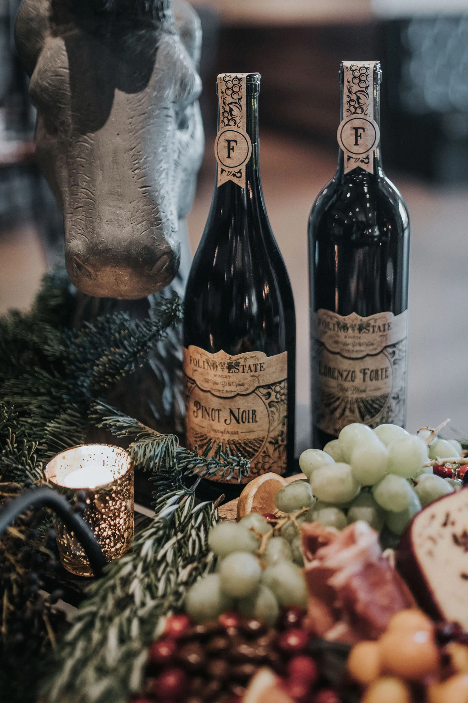 Folino-Winter2018-17.jpg