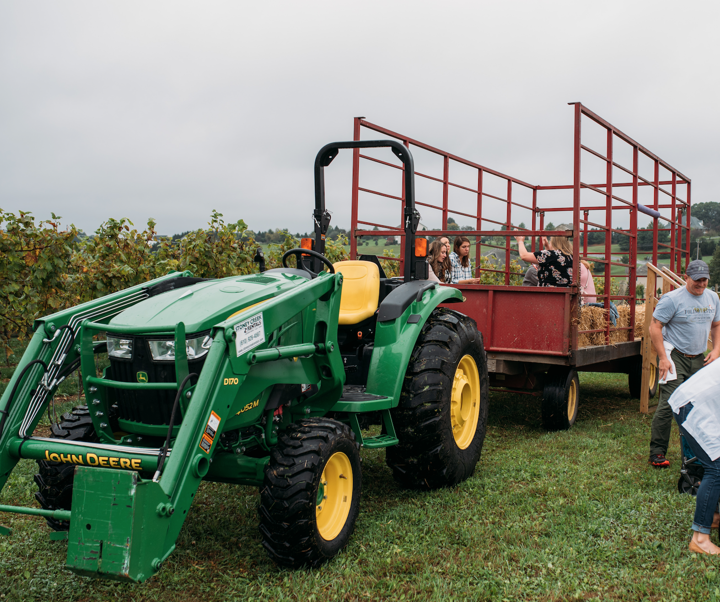 Vineyard Tours