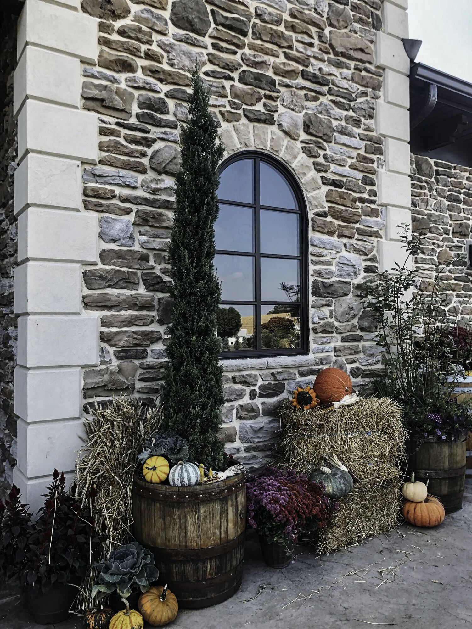 Welcome fall at Folino Estate!