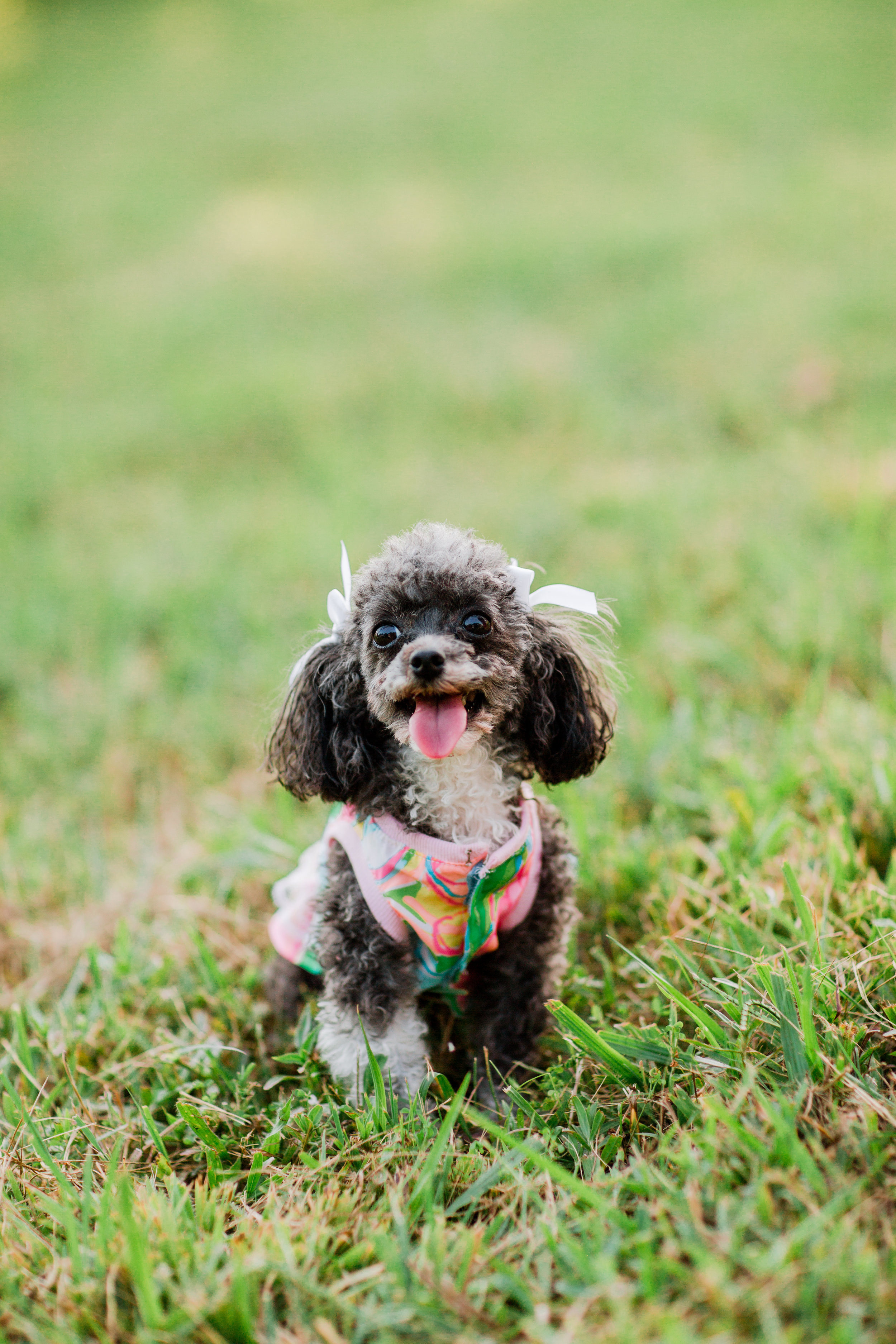 Bailey-Senior-60.jpg