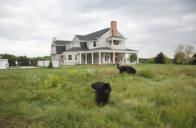 Shingle Style Estate