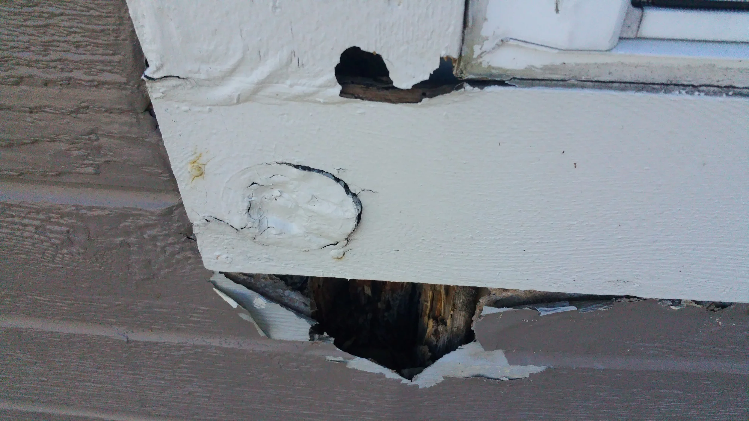 Without a ladder how would an inspector know how bad this rot is on a second story window?