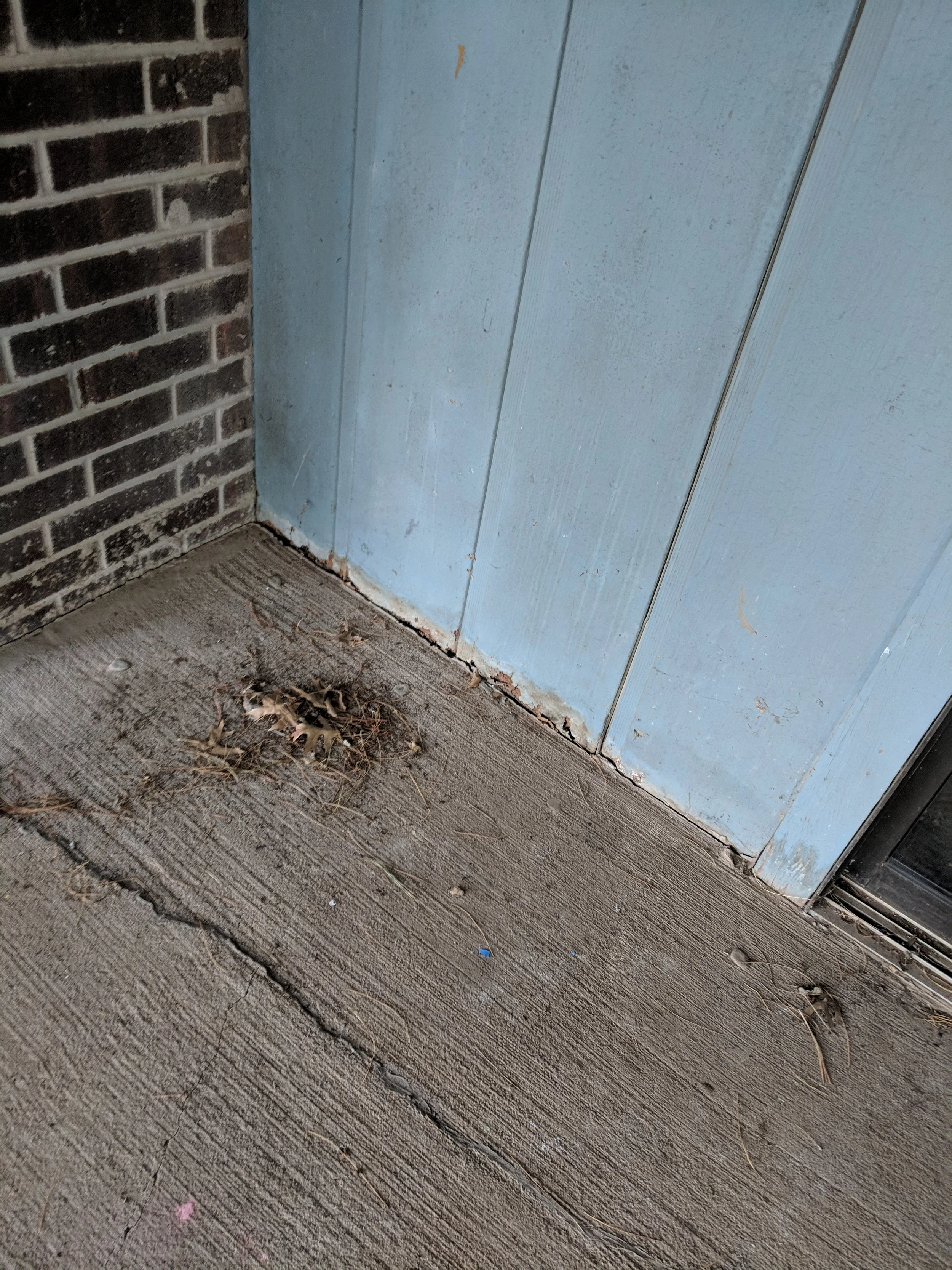 More evidence of termite and water damage