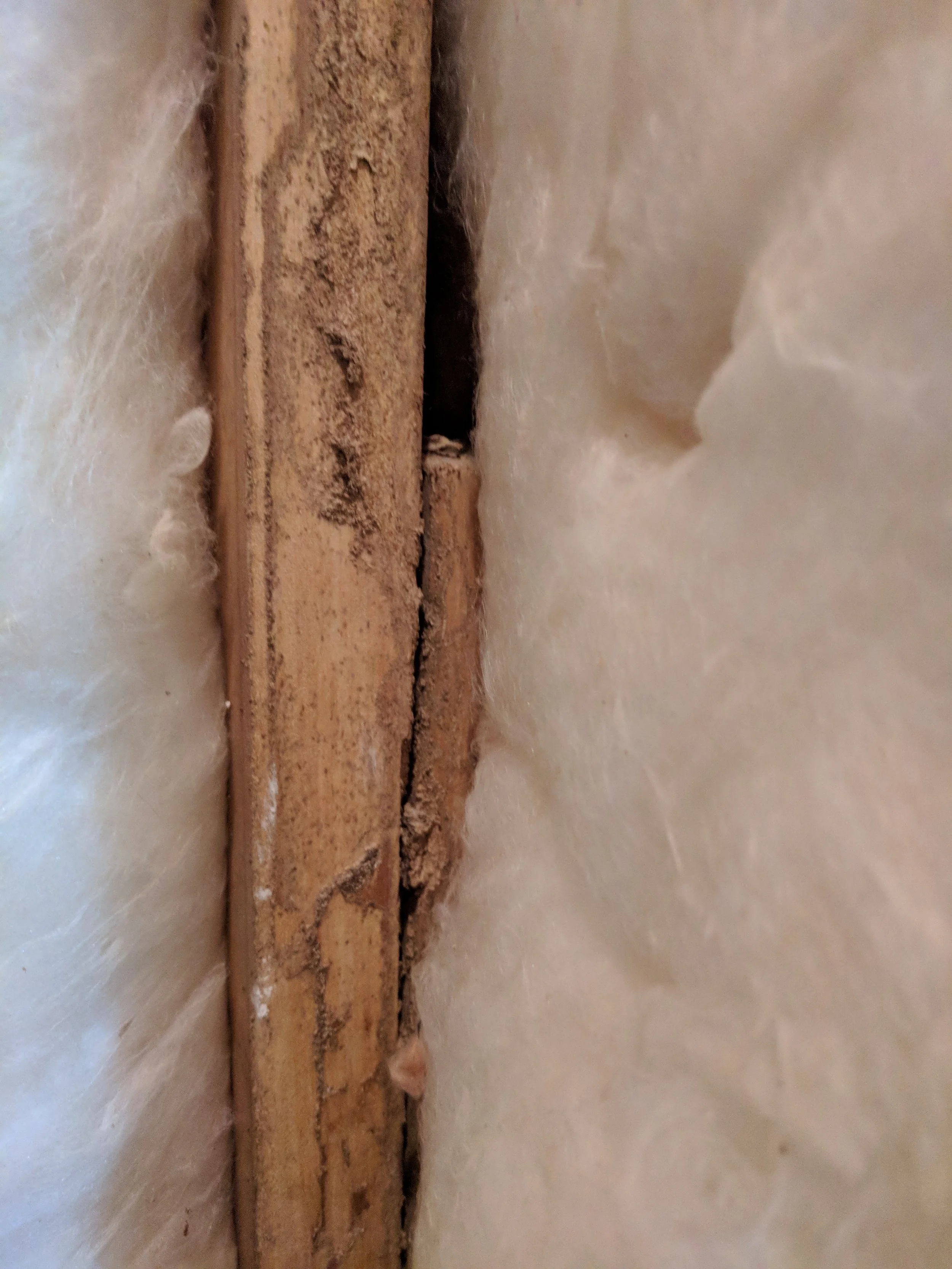 This board looks fairly new and is chewed up a lot. May not be a new board, hard to tell for sure. I’m not sure how much work you did with the bathroom down there