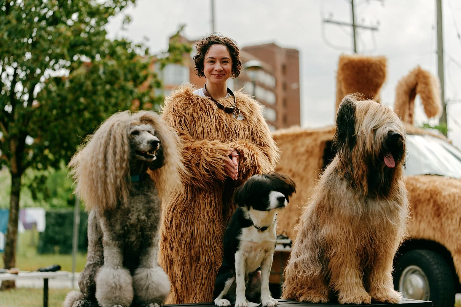 CONSTANT_CONTACT_02_DOG_GROOMER_SHOT_9-006362.jpg