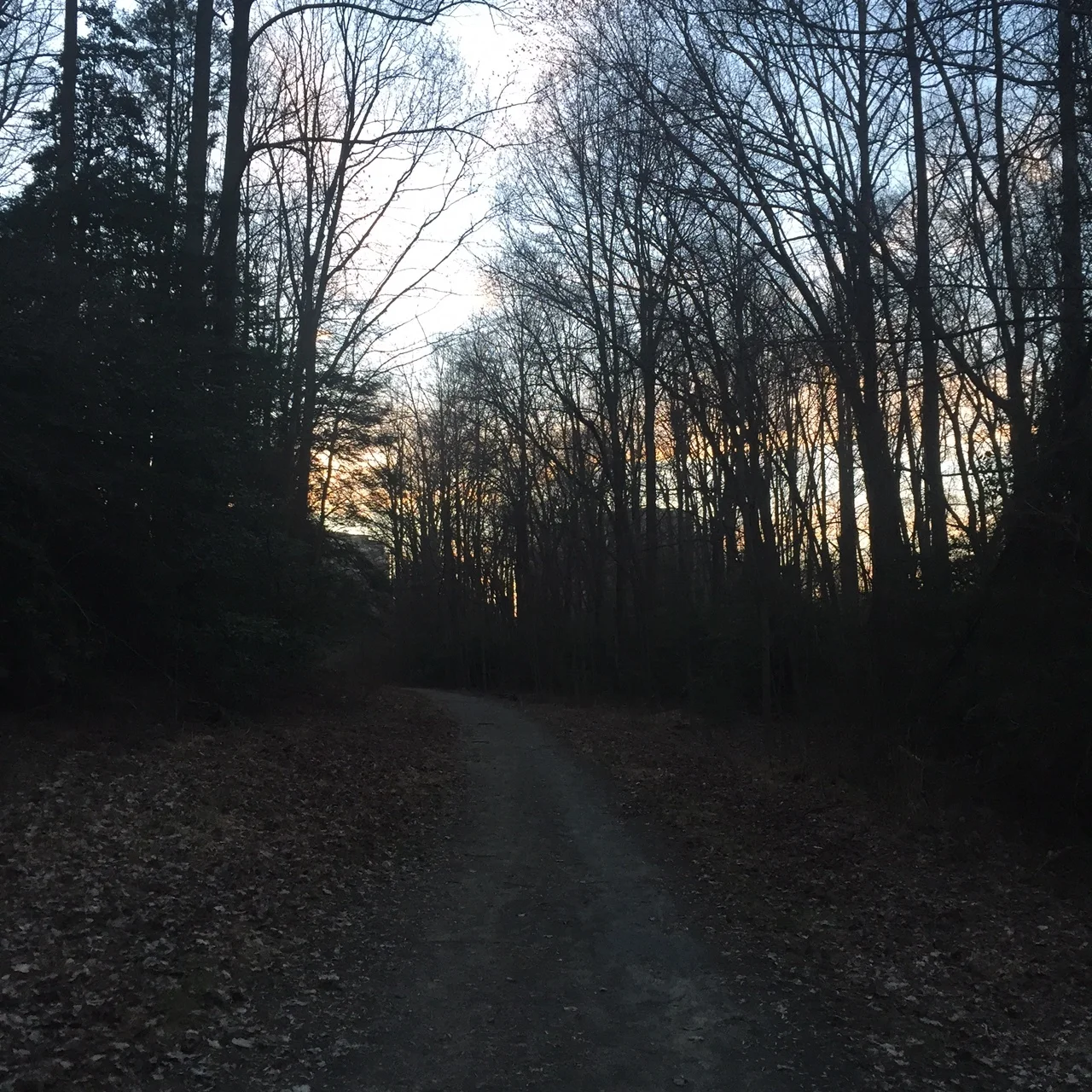 Weekly Workout Recap