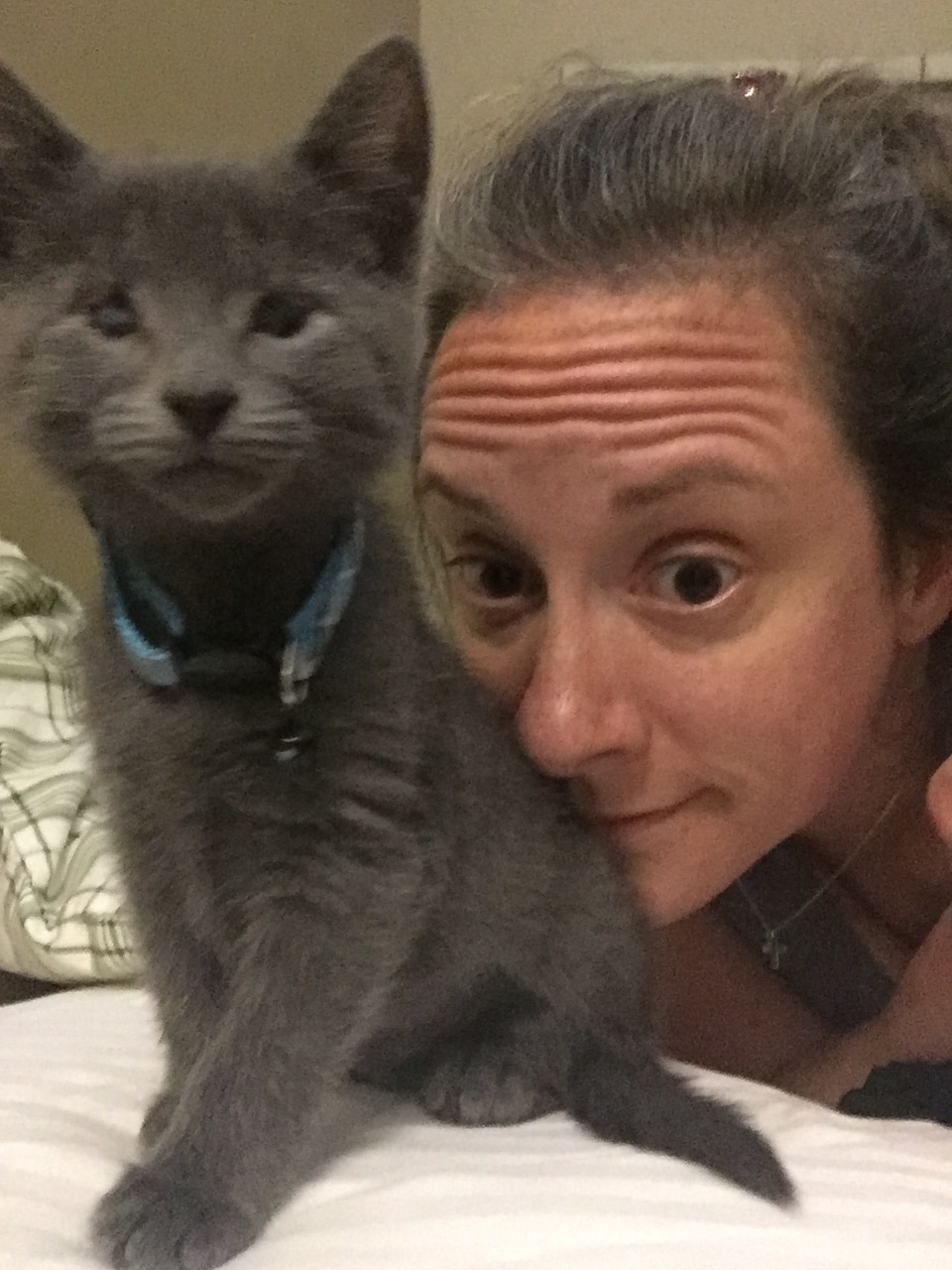 Meet Pidge. 