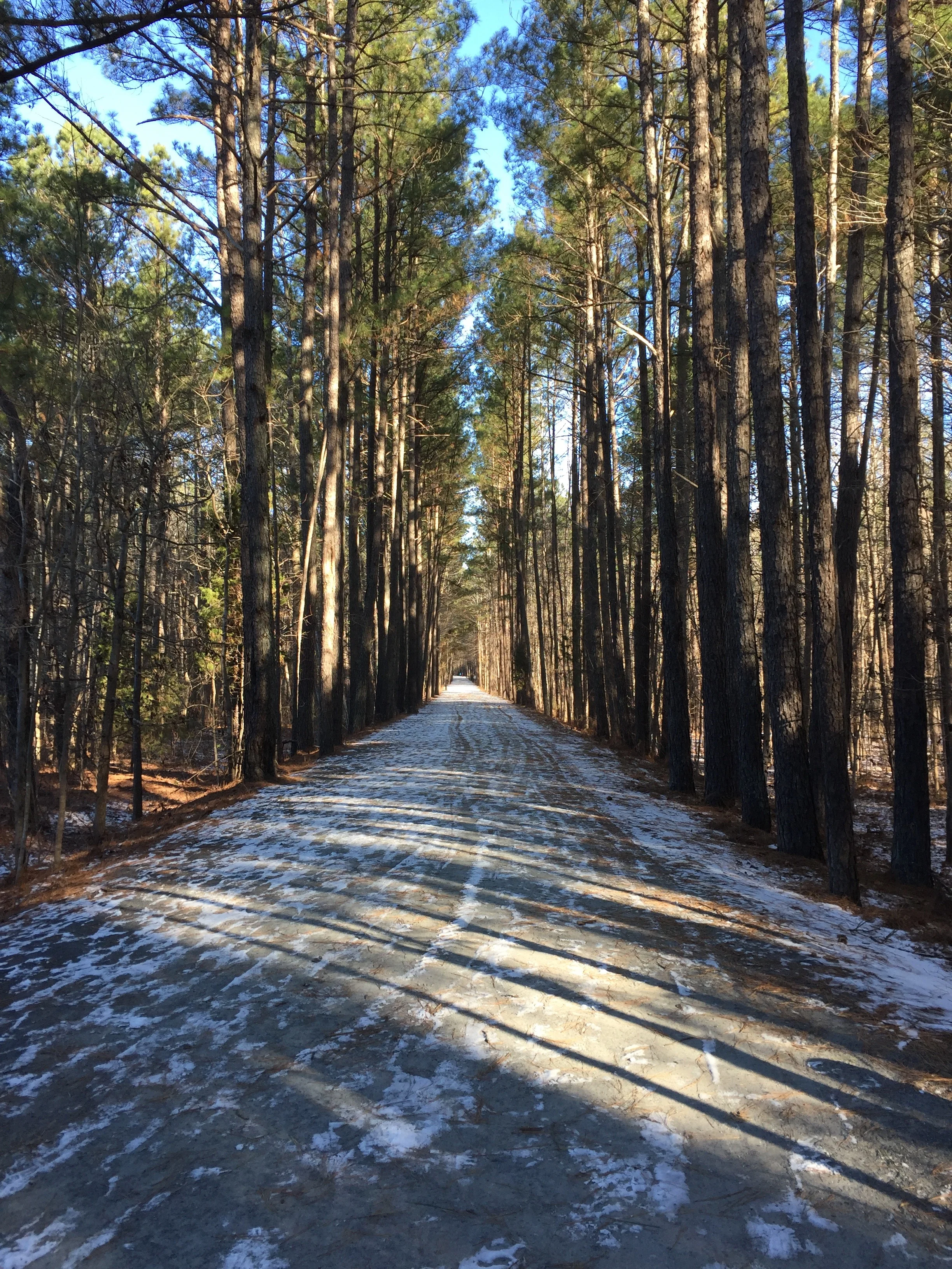 so pretty. so cold. 
