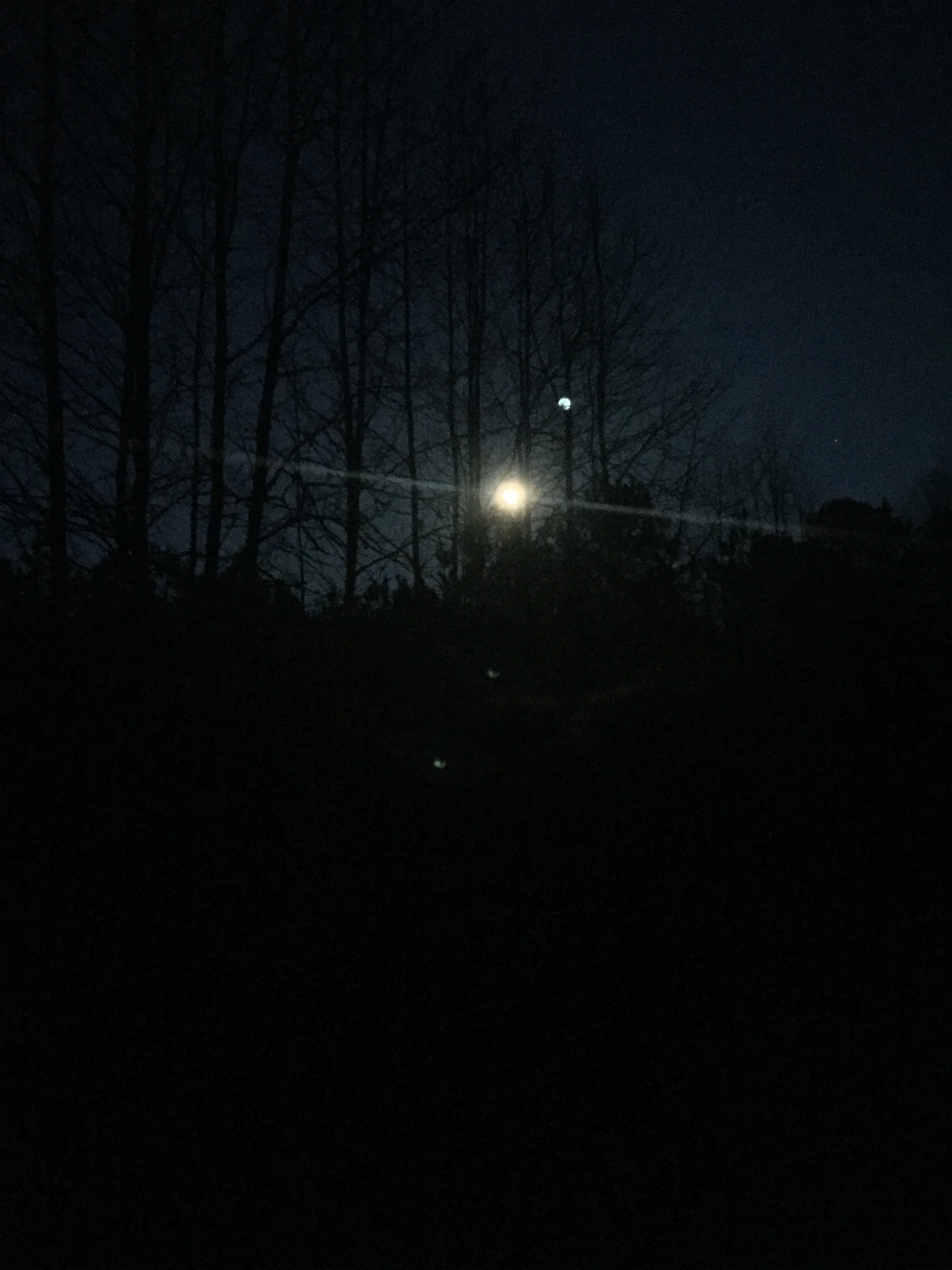 Weeks 4 and 5: Busted Runs and a Dose of Fear