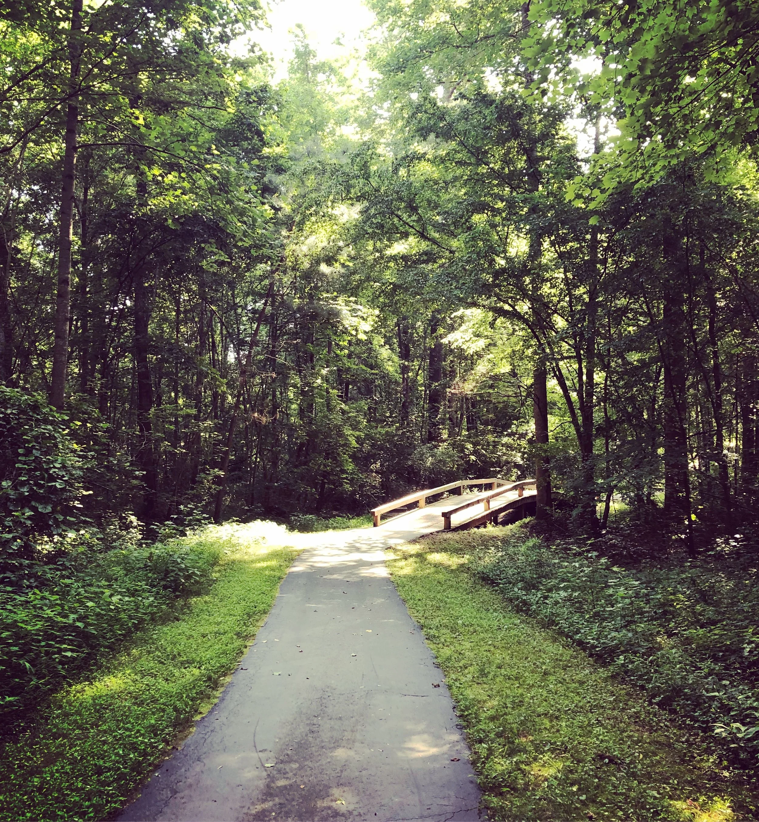 Weeks 24-26: TAPER