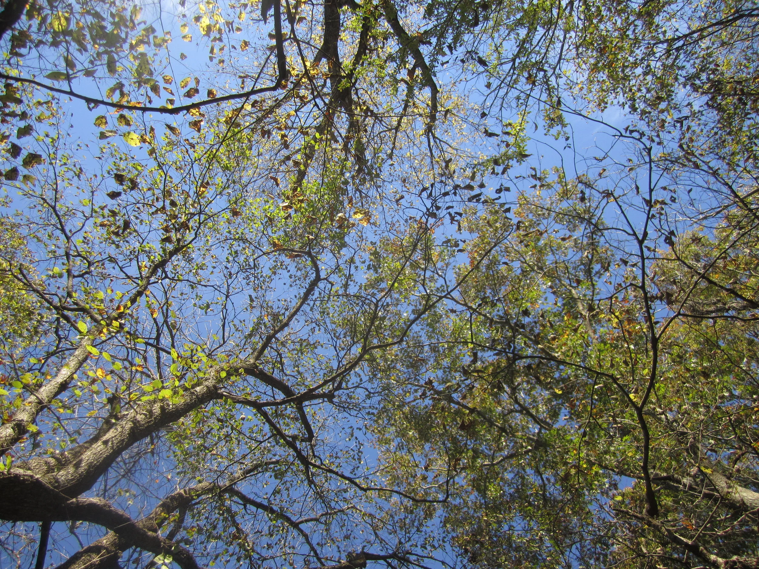 We all share a need to connect with our bodies and our surroundings.