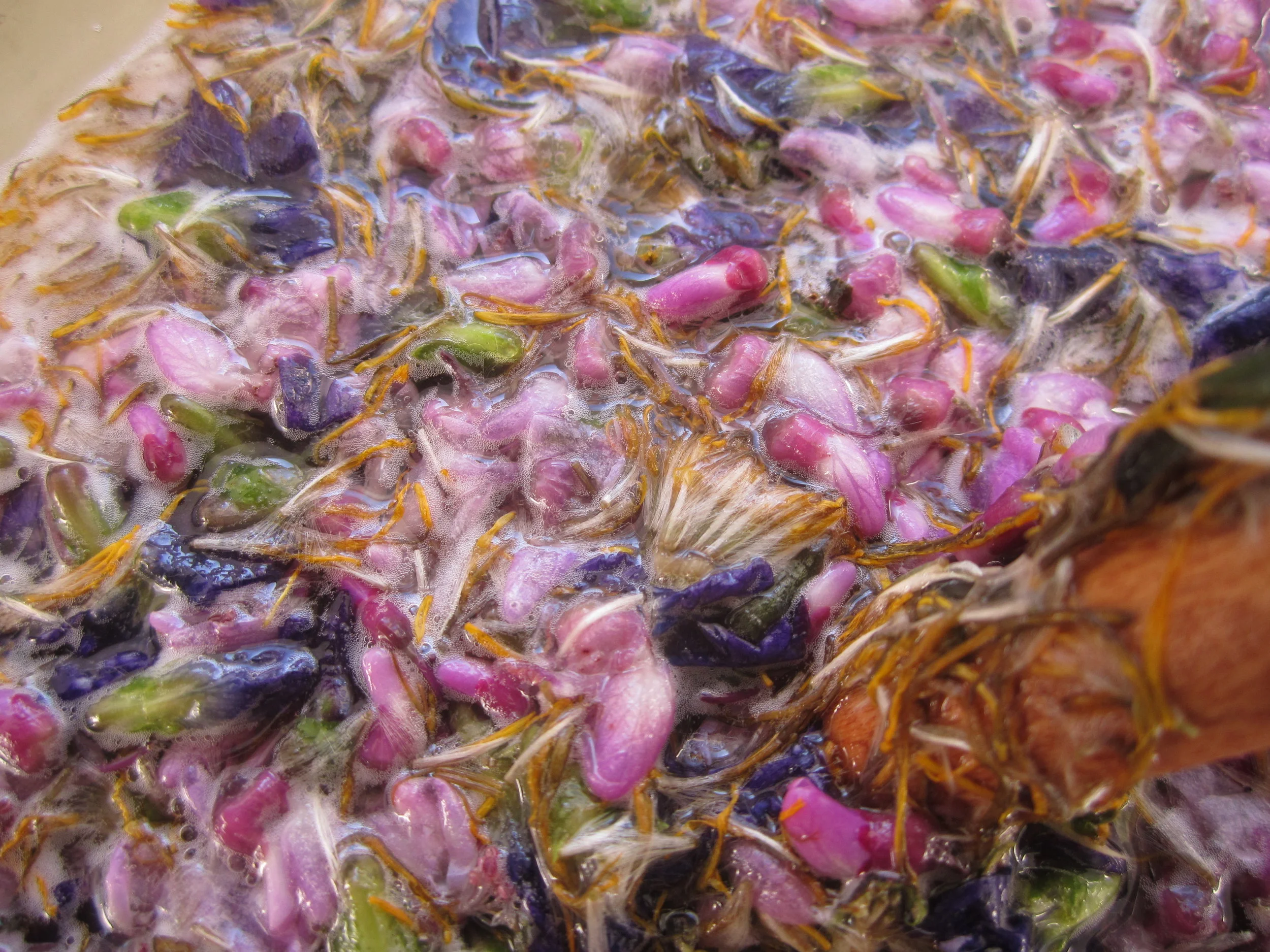 This is an early spring mead fermented with wild violets, dandelions, and redbuds.