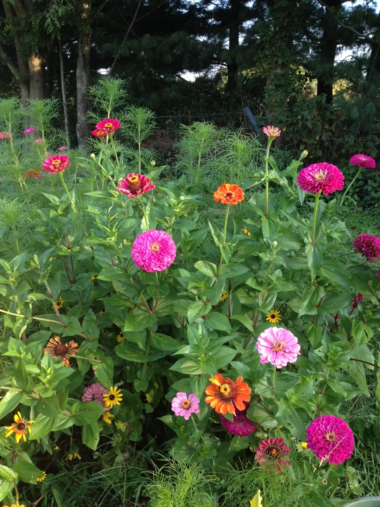 17. Eight Forms of Capital and the Ecology of Value Exchange with Sam Sycamore