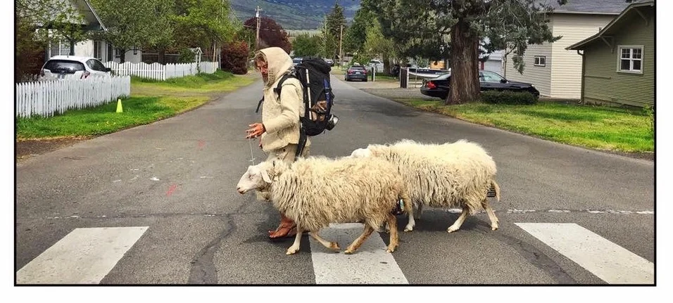 Good Life Revival: Permaculture, Rewilding, Homesteading