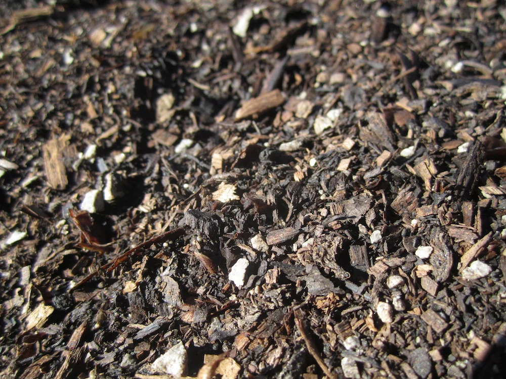 compost.jpg