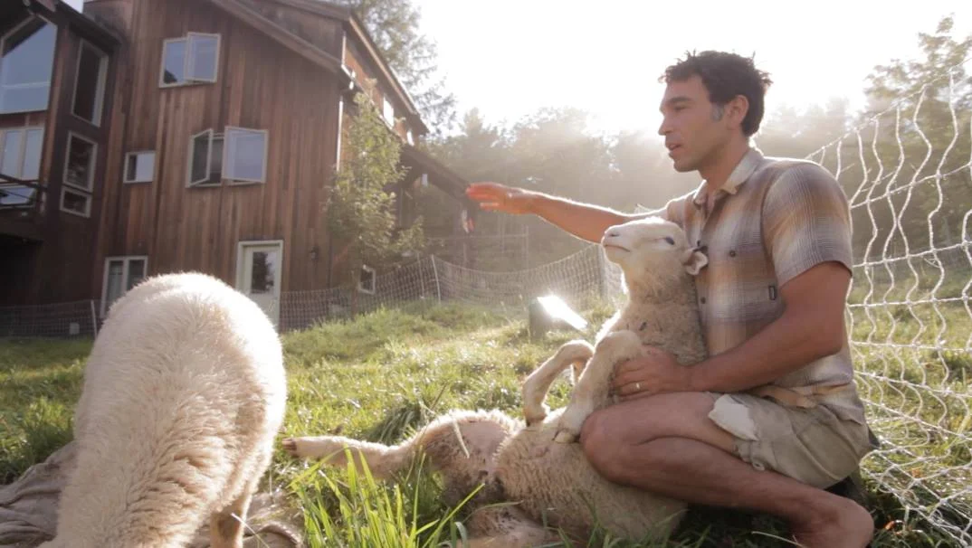 41. Homestead Resilience in an Era of Uncertainty with Ben Falk of Whole Systems Design