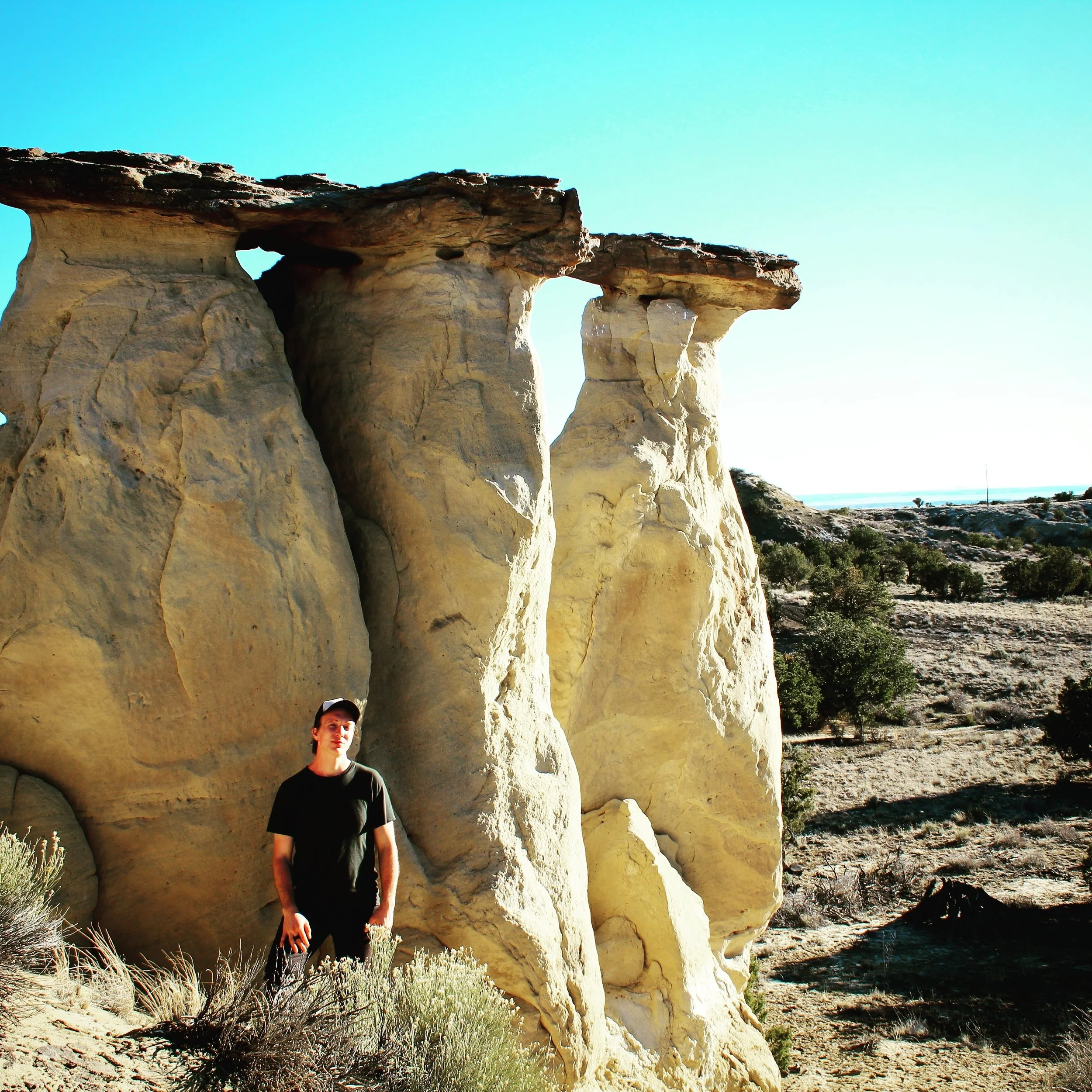 48. The Mycelium is the Message with Peter McCoy, author of Radical Mycology