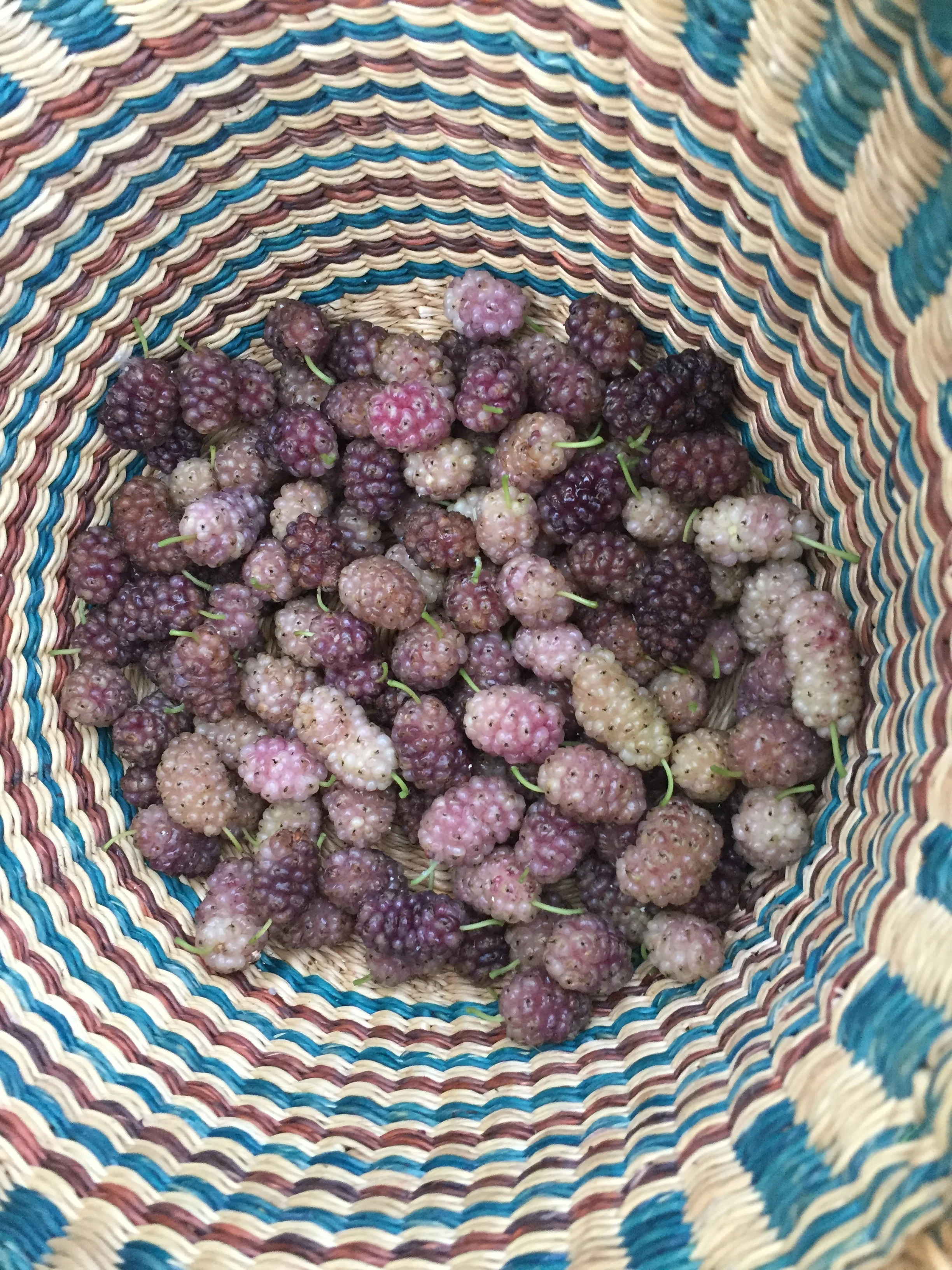 Truly white berries are not very common, and will often be rather bland unless tinted pink or purple.