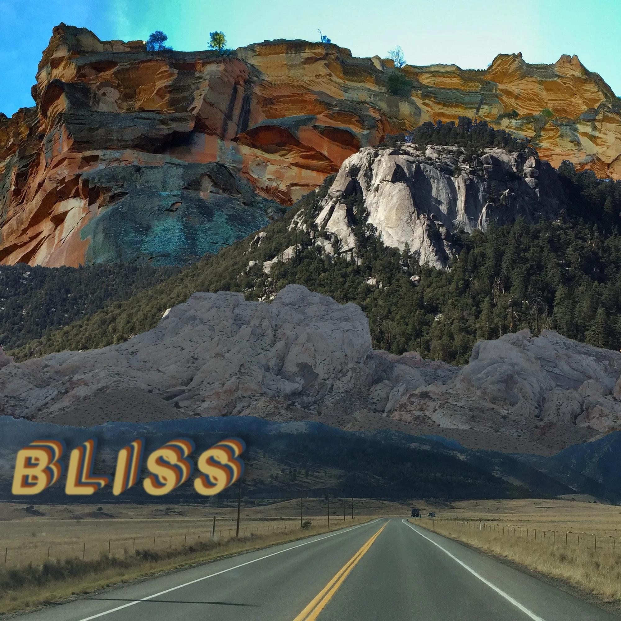 bliss copy.jpg