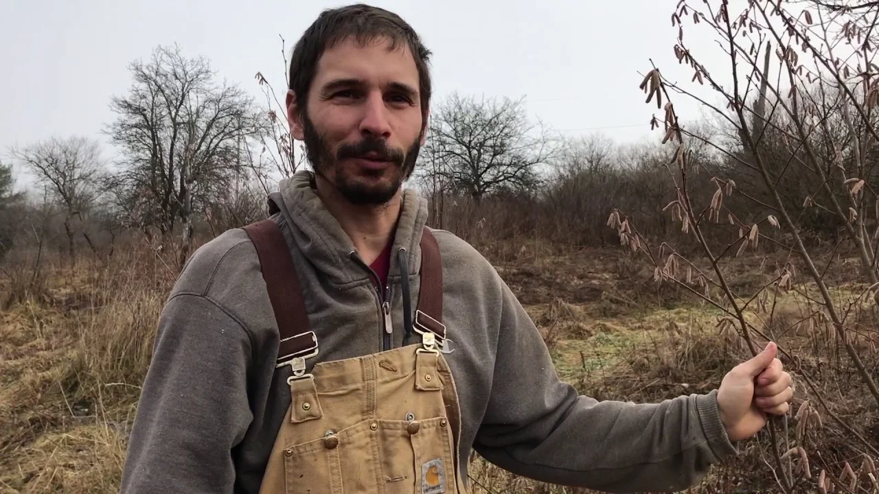 64. Partnering with Powerful Trees - How and Why with Akiva Silver of Twisted Tree Farm