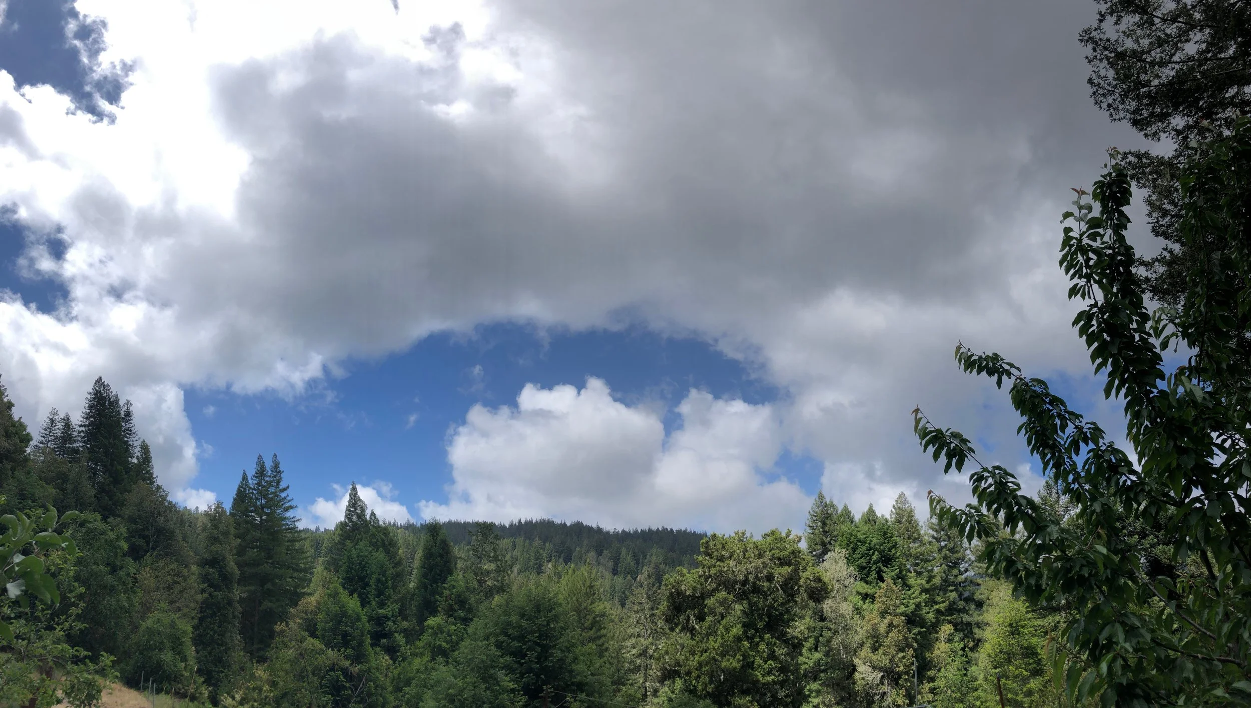68. Coping With Climate Change Grief - What Comes After Acceptance?