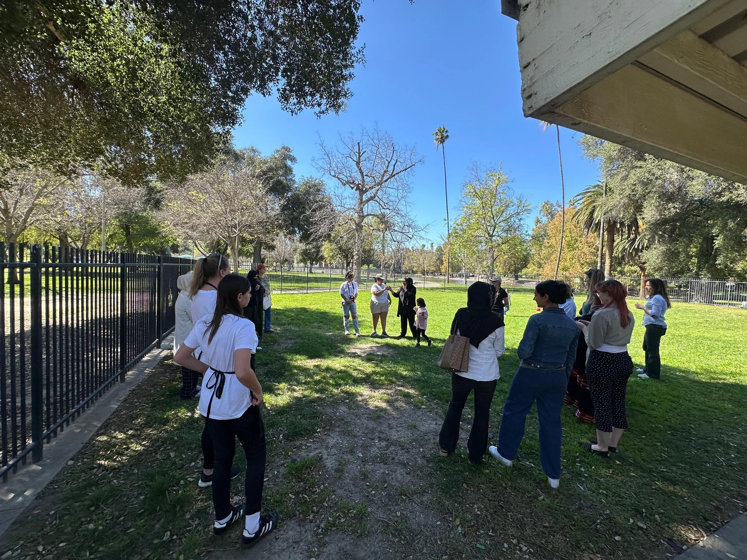 WhatsApp Image 2026-03-08 at 21.09.04 (2).jpeg