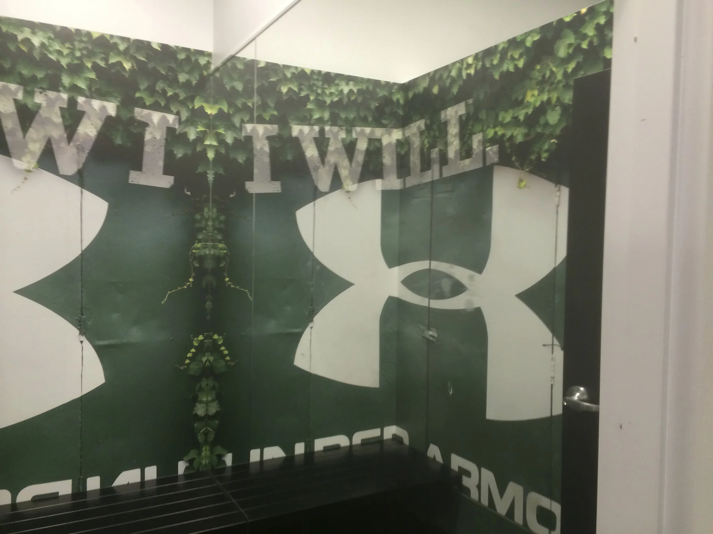 printed wallpaper environmental graphic