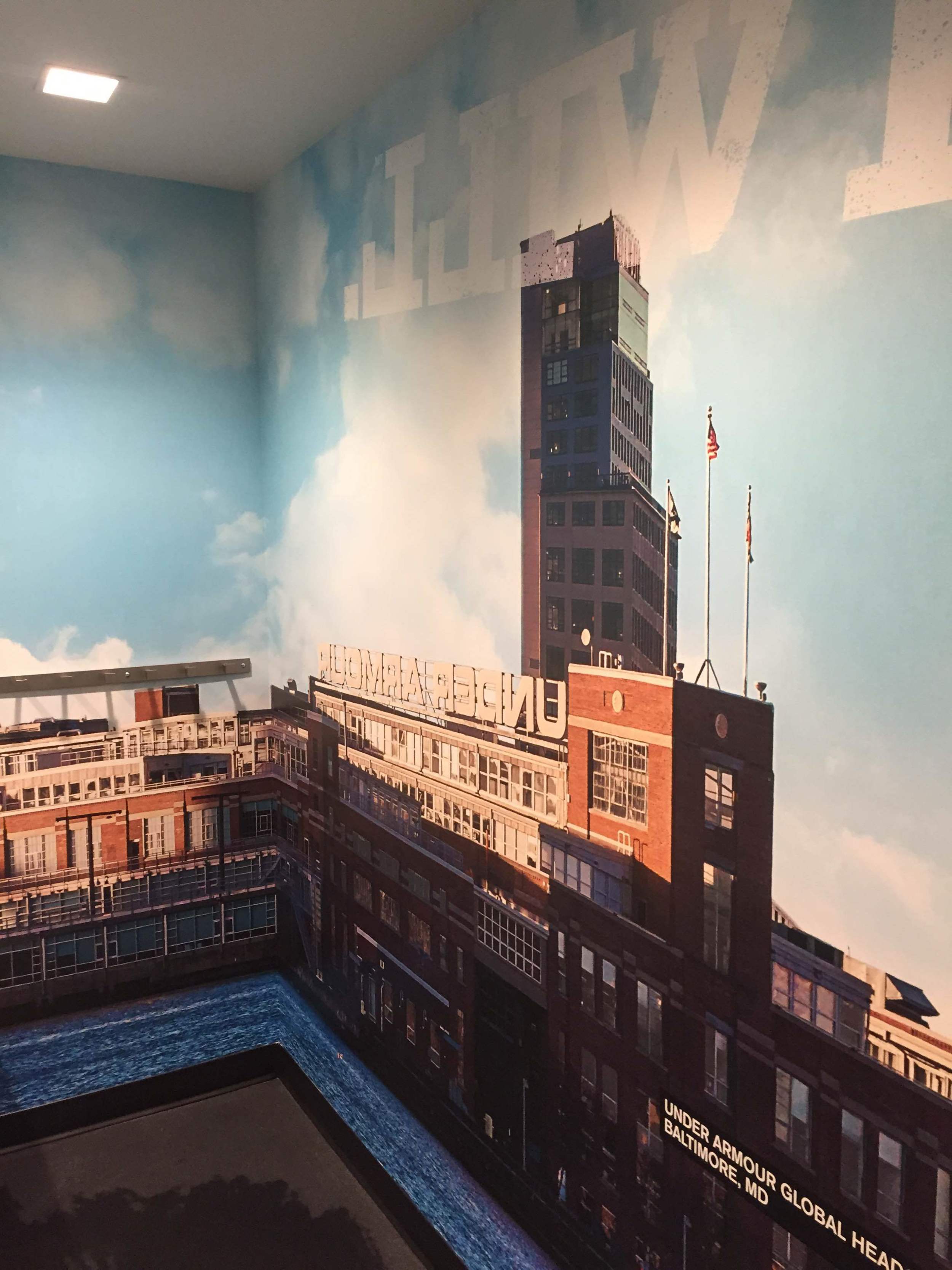 printed wallpaper environmental graphic