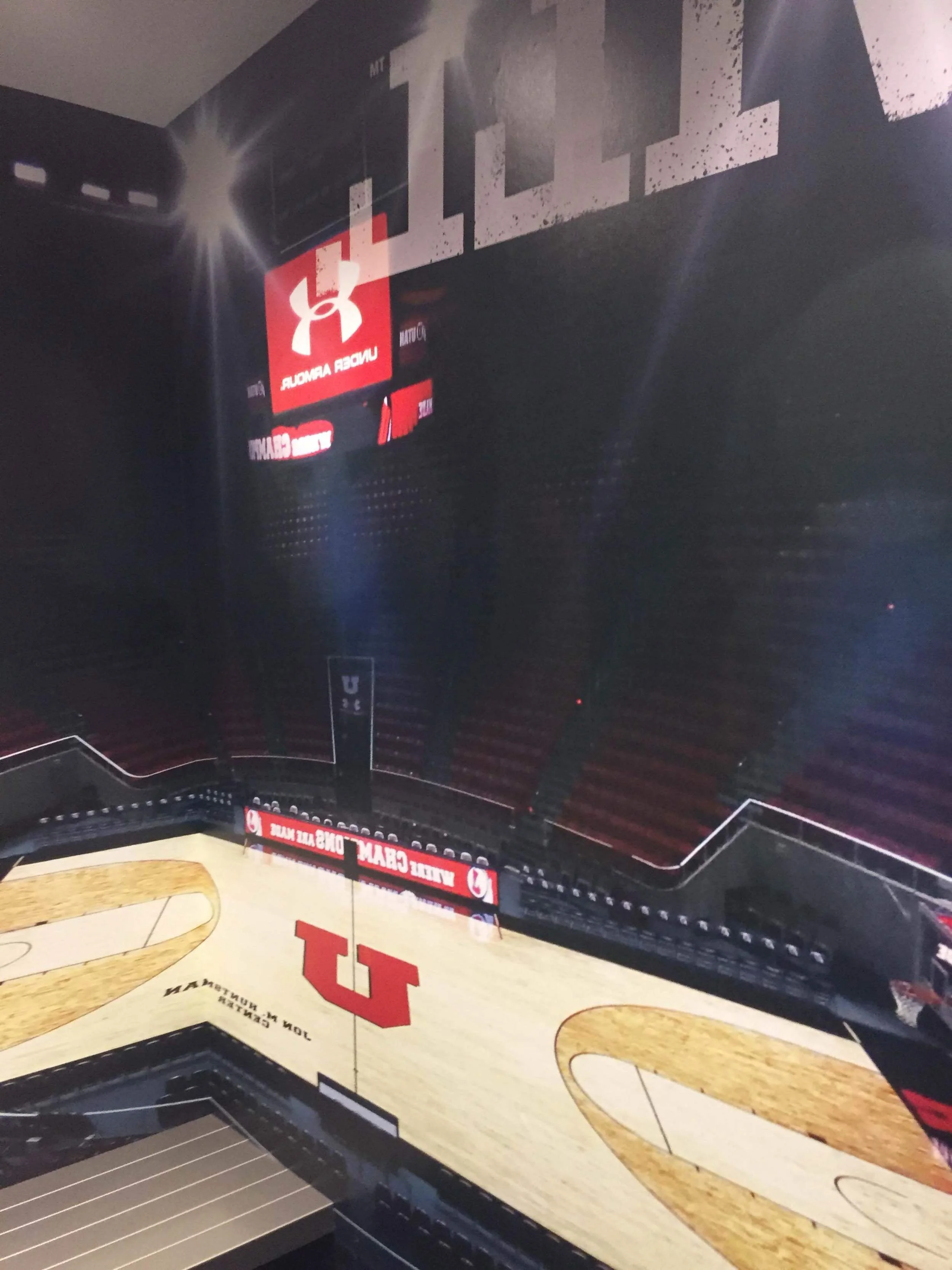 printed wallpaper environmental graphic