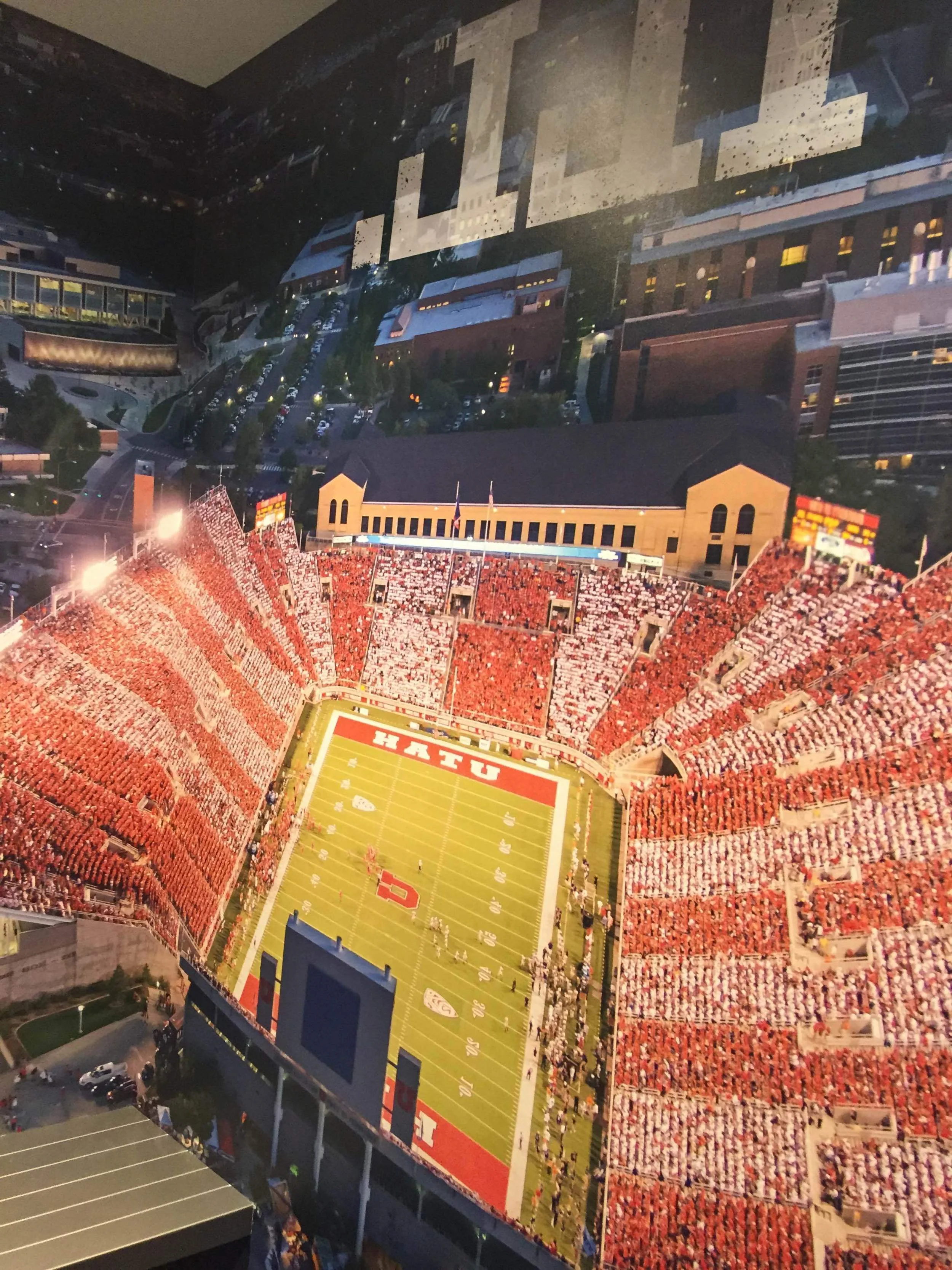 printed wallpaper environmental graphic