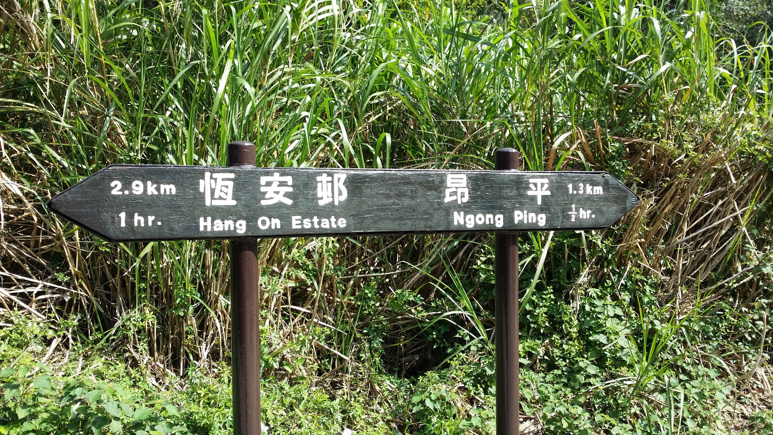 The signpost to Ngong Ping trail