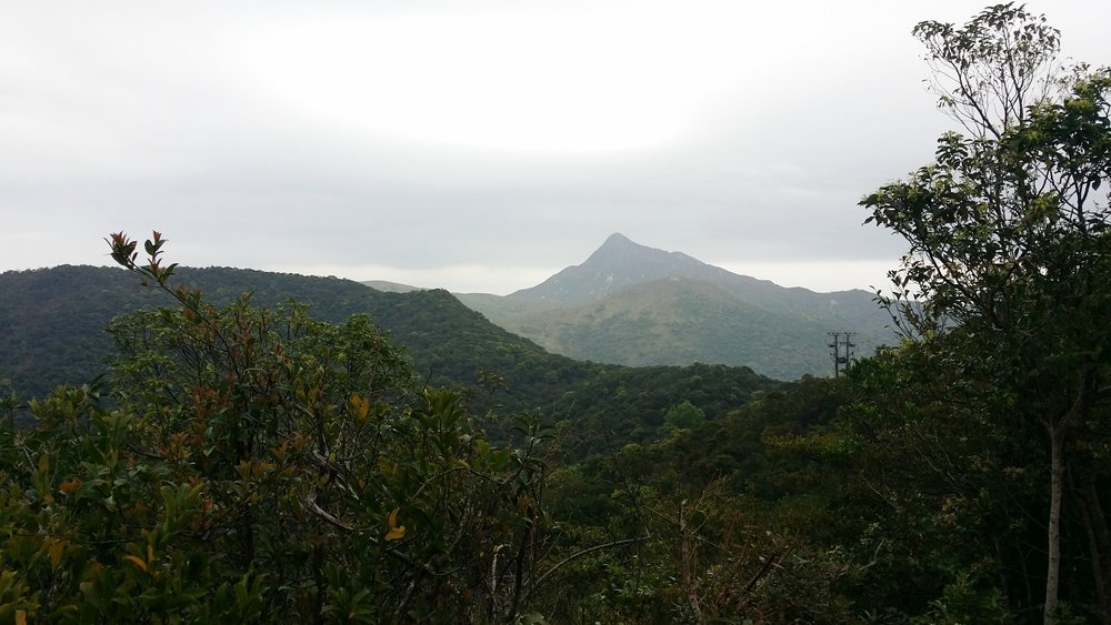 The Sharp Peak