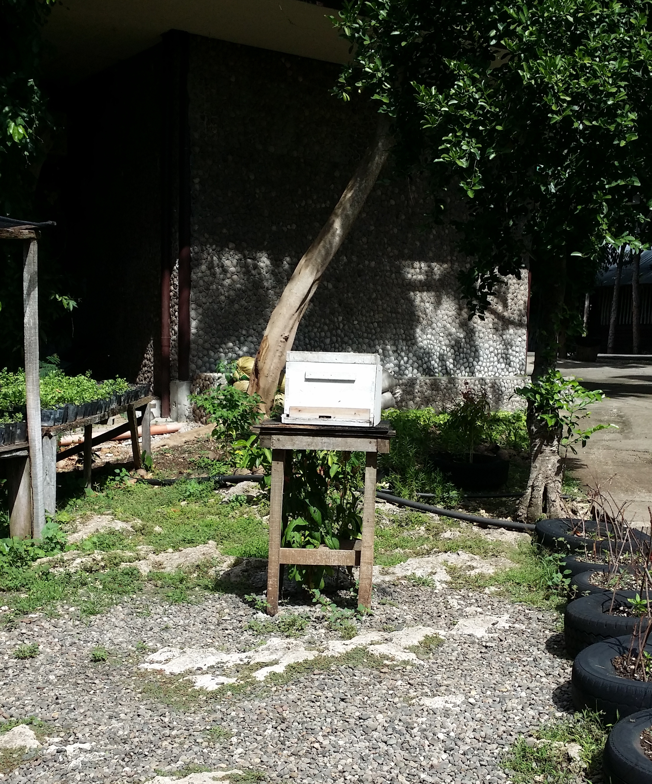 Workplace of working bees