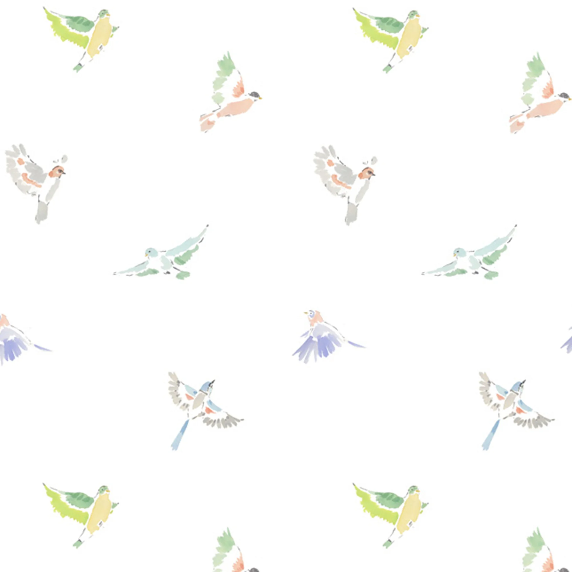 caitlinmcgauleybirds.jpg