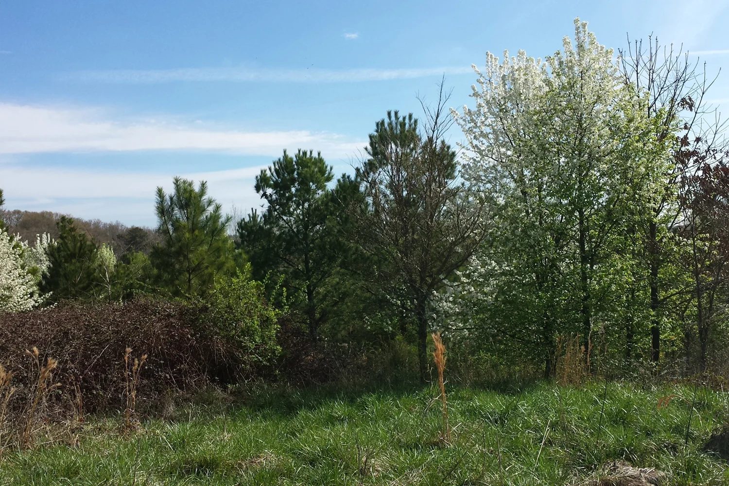 On the Old Atlanta Prison Farm