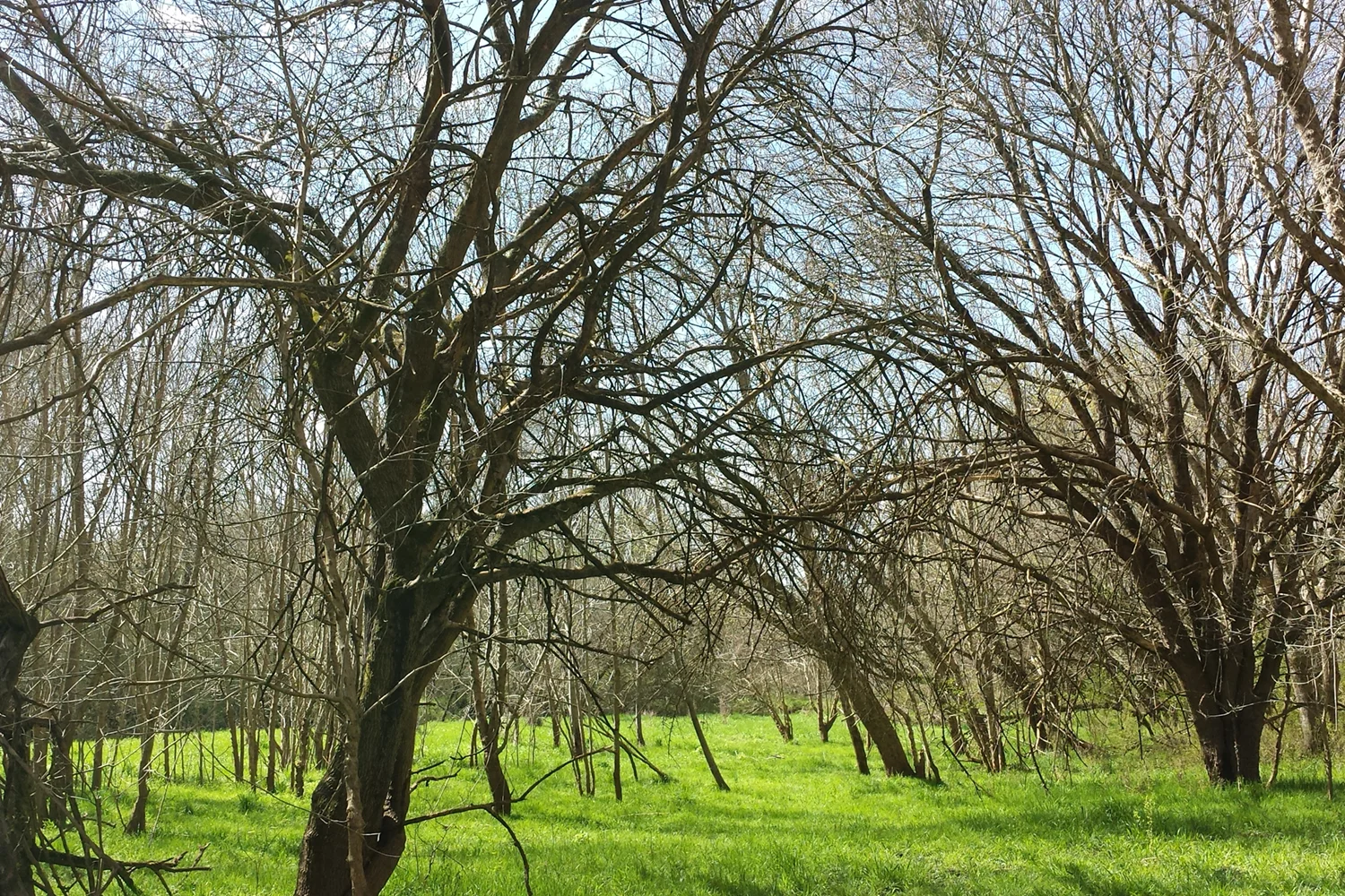 On the Old Atlanta Prison Farm