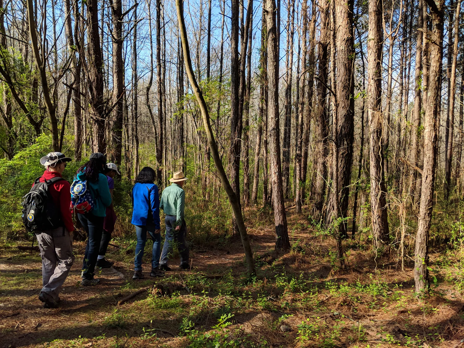 Touring Intrenchment Creek