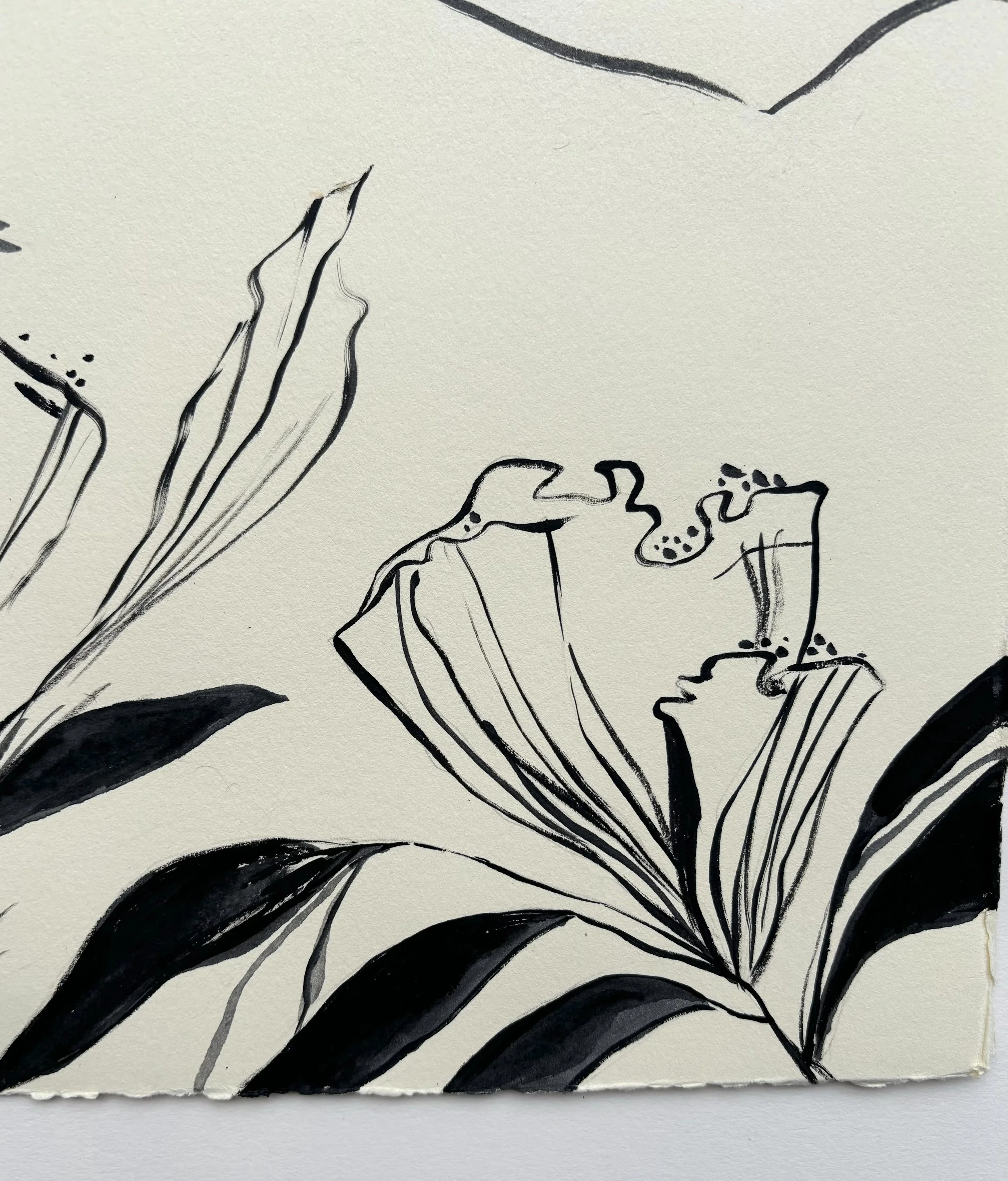 Lounge Detail 1.jpeg