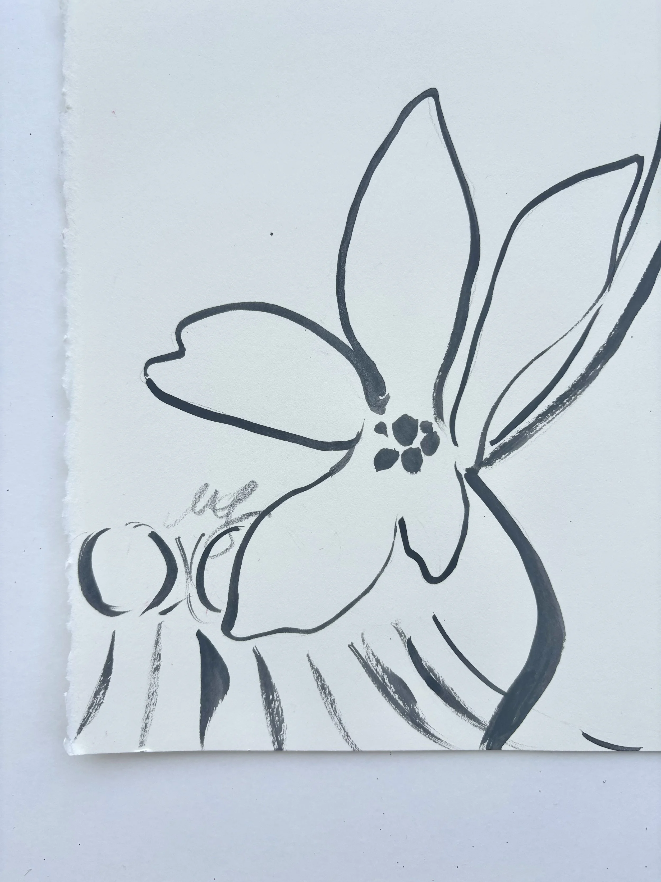 Edie Detail Paper Color Signature.jpeg