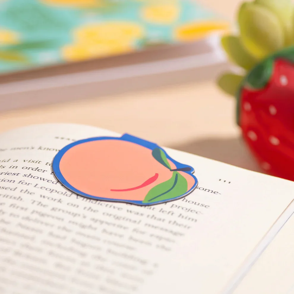 Magnetic_Bookmark_01.webp