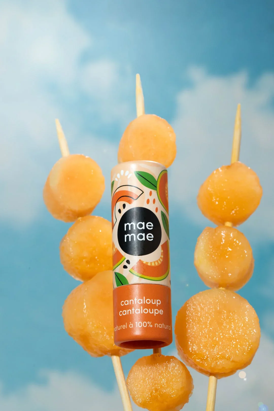 cantaloup-min_896805a9-f6e8-411f-b2bd-5c00f4b720f3.webp