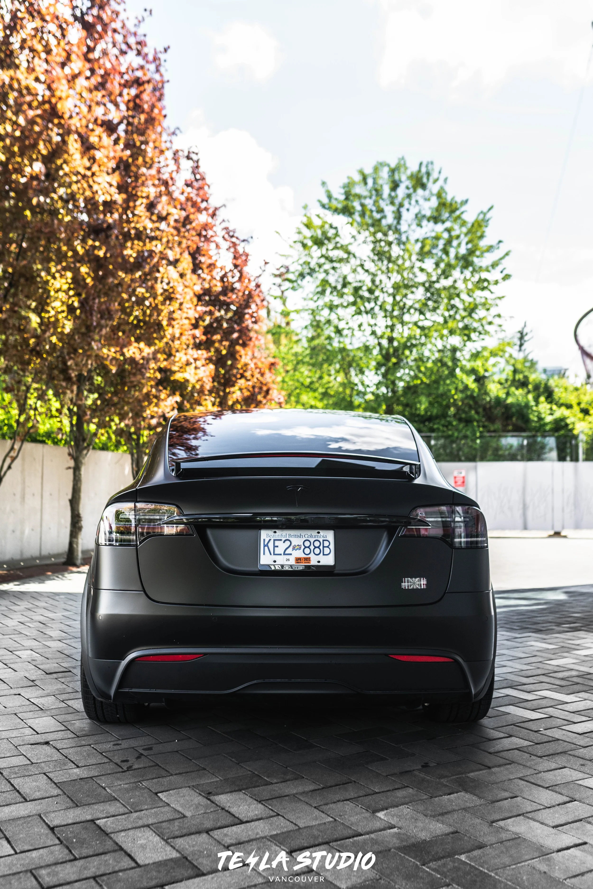DSC09946.jpg